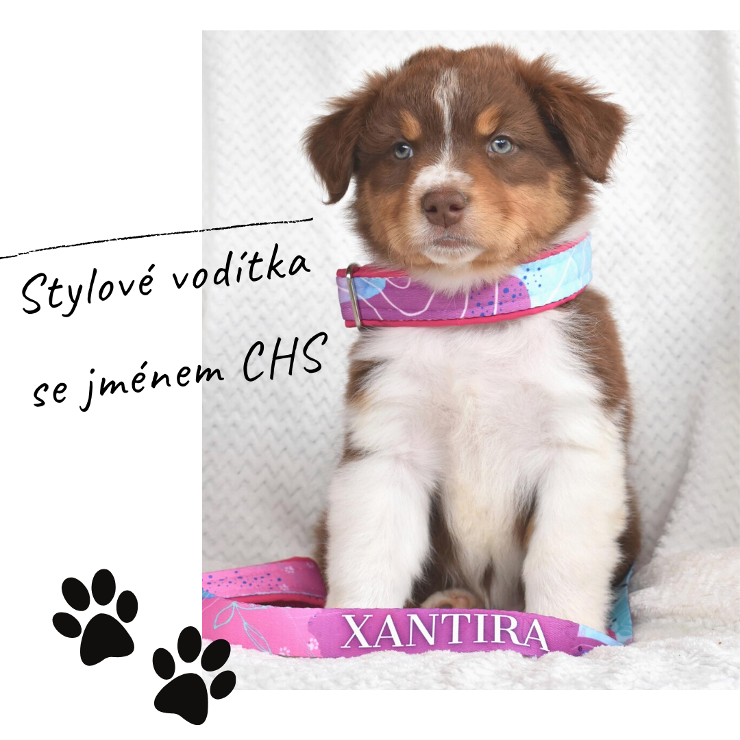 Stylové vodítka se jménem CHS